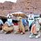 SunCity Camp