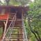 Green leaf Tree house