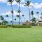 Napili Shores F246