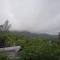 While away วายล์ อะเวย์ - Ko Lanta