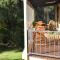 Denmark Waters B&B