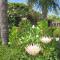 Lakes Entrance Waterfront Cottages with King Beds