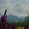 Aangan Homes by Mid Orchard