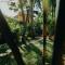Boho Jungle Studios