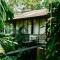 Boho Jungle Studios