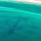 Ariel Dunes I 203
