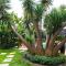 Secret Garden Guesthouse