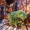3 Kings Mountain Vista by SkyRun Park City