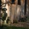 Garden Studio Spring Cottage