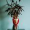 Apartament Madlen Art