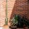 Casa Franco - Modern Architecture Home with AC - San Miguel de Allende