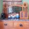 Afallon Townhouse