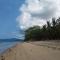 DANG dang Balbago Beach - 爱妮岛