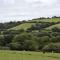Tregolls Farm Cottages