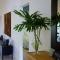 Dolphin Retreat - East Boca Raton