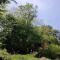 chalet sur pilotis en perigord - 卡尔萨克阿亚克 chalet sur pilotis en perigord - 卡尔萨克阿亚克