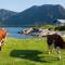 See Lofoten mountains midnight sun and nothern lights in Steigen