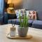 Le Piton - Appartements - 桑塞尔