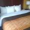 Comfort Inn & Suites Brattleboro I-91 - Братлборо