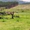 Dargle Camping & Caravan Site