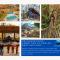 Three Little Bears at Eagles Nest - بانير إلك