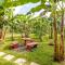 Rio Celeste Birds Garden, Aire Acondicionado, Comodidad