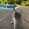 Finca de descanso y relajacion cerca de Tocaima - 阿普洛