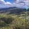 50kms of stunning ocean & hinterland views with pool - Bald Knob