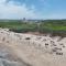 5 Min drive to National Seashore beaches and private backyard - Eastham