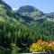 Appartement Mei Liab Schladming