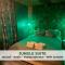 Jungle Suite - Immersion Tropicale - Cambrai