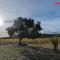 La Cigotà - Villa with swimming pool for 8 people - Pouzols-Minervois