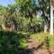 1mi to Beach Jungle Bungalow 1 acre with Pool - 恩格尔伍德