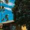 Asenza Beach Resort All Inclusive - 皮廷布