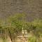 Blend Lodges