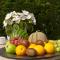 B&B Colombe Blanche