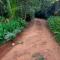 Madhu Giri Stay