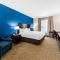 Comfort Inn & Suites Near Lake Lewisville