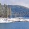 Forest Falls - Shaver Lake