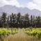 Duikersdrift Winelands Country Escape