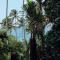 Araliya Cabana with oceanview - Madiha Hill - Madihe East