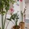 Absinthe Guest House - 丹吉尔