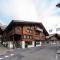 Large apt in town center next to Brunngasse & near lake - 布里恩茨