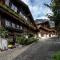 Large apt in town center next to Brunngasse & near lake - 布里恩茨