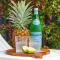A Sumptuous Poolside Family Oasis at Gardens Villa