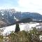 La petite Silene - Leysin