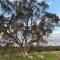 Mondurup Escape - Kendenup