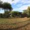 Ngata Safari Lodge - Hammanskraal
