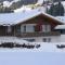 Apartment Aloa by Interhome - Adelboden