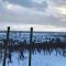Le Logis du Vignoble